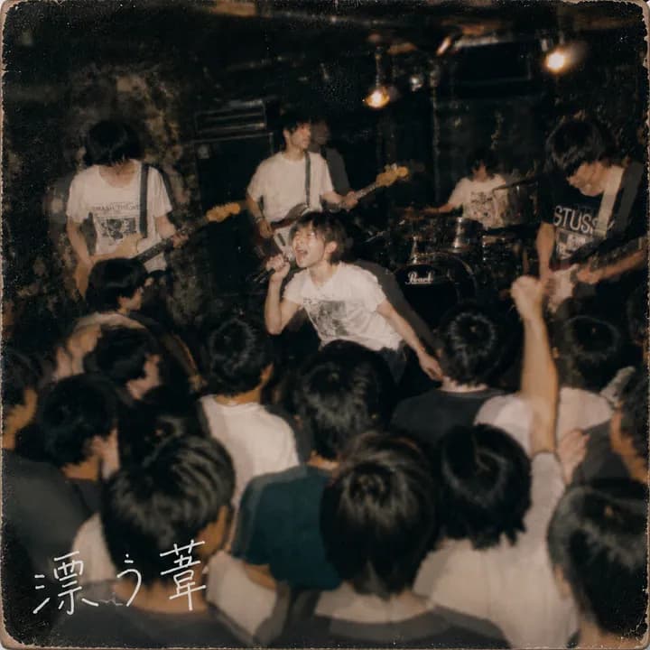 漂う葦 ライブの様子